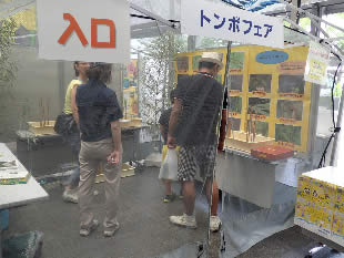 庁舎入口に開設した『トンボテント』（横：約3.6m×縦：約2.7m×高さ：約2.7m）。6月に捕獲したヤゴや羽化したばかりのトンボを観察できるように展示。