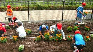 小学校2年生の花の植え付け体験作業。毎年春・秋2回の恒例となっている。