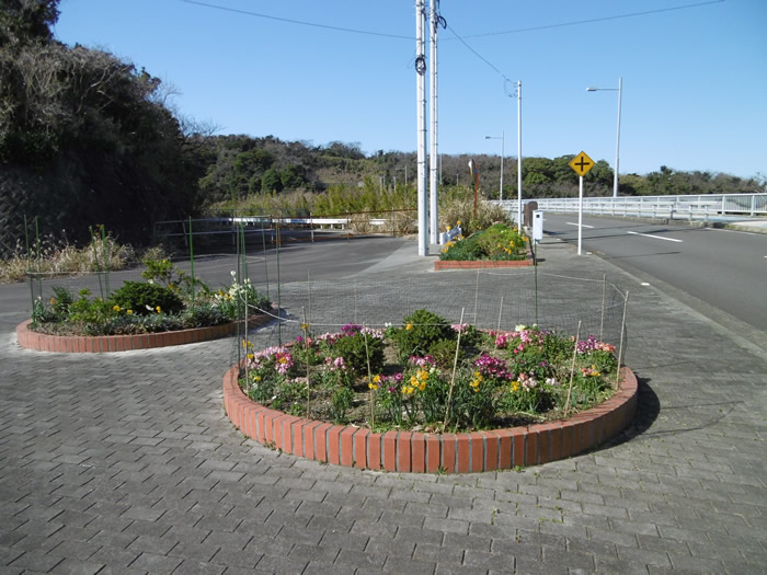 幹線道路沿いに整備している花壇。