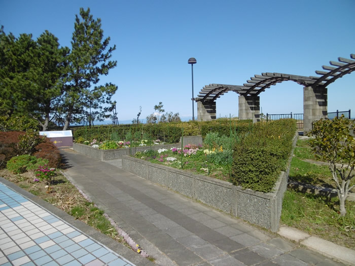 幹線道路沿いに整備している花壇。