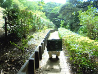 南ヶ山園地での剪定作業。