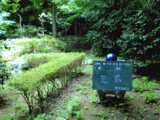 南ヶ山園地での剪定作業。