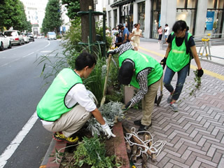 商業施設の建て替えで撤去されることになった植栽の移植をした。（認定NPO法人自然環境復元協会提供）