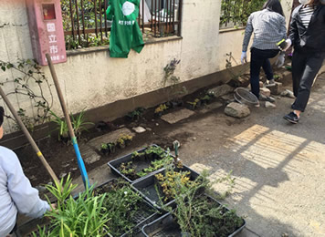 路地の路肩の石畳と香りの草花