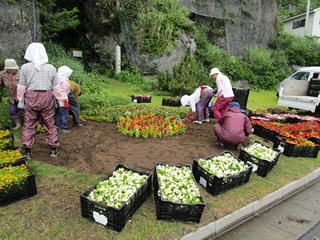 えんま洞前の花壇。