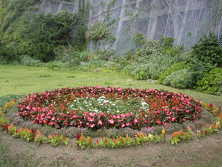 四季折々で彩りを変える花壇。