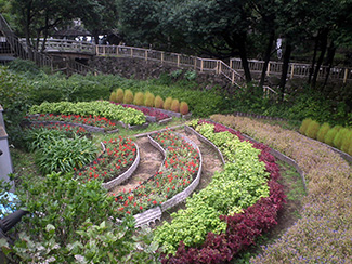明治通りの歩道から望む花壇。