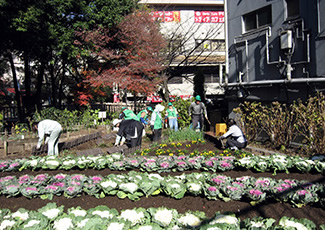 音無親水公園の花壇を整備する美化ボランティア。区職員もいっしょになって作業した。(2)