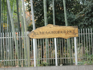 環境事業紹介