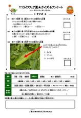会場内をまわって各出展団体の活動内容を知ってもらうため、「エコライフフェア夏・クイズ＆アンケート」を配布した。