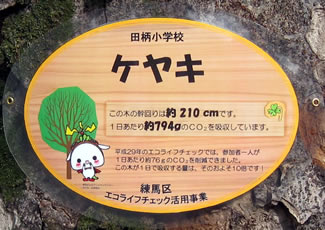 区内の小学校に取り付けたネームプレート。幹回り約210cmのケヤキが1日に吸収するCO2は、約794gと推計される。