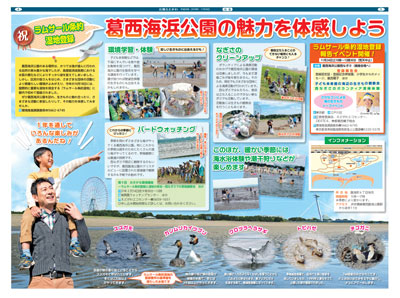 江戸川区では、「葛西海浜公園」のラムサール条約湿地登録を記念した特集を、平成30年11月1日号及び11月20日号の2号にわたって掲載した。