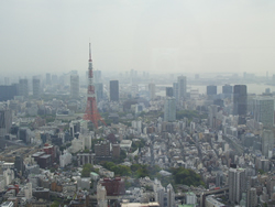 写真：六本木ヒルズから東京