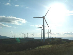 ウィンドファーム（1,000ＫＷ×４３基が稼働）