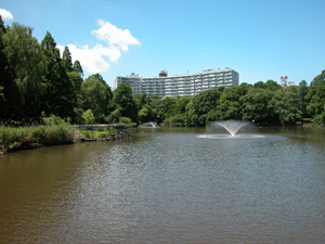 写真３　井の頭公園の景観１