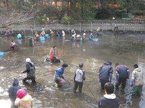 写真１０　魚を捕るボランティア