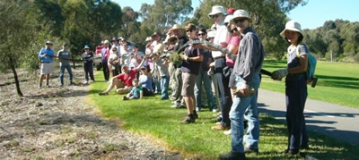 裏庭生物多様性プロジェクトの様子（2012年8月　Koonung Creek planting）