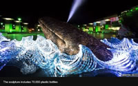 ライトアップされたクジラ