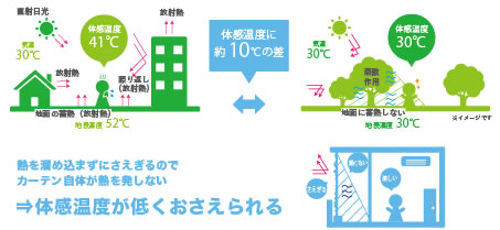 人が感じる「暑さ」は気温だけで決まらない。「体感温度」を下げるのが緑のカーテン。
