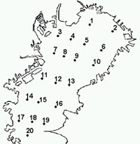 東京湾20定点調査における定点図