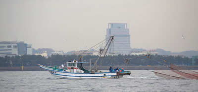 小型底曳網漁船による調査風景