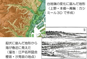 【図2】台地端の変化に富んだ地形（上野・本郷～高輪：カシミール３Dで作成）
【図3】起伏に富んだ地形から海が身近に見えた（溜池：江戸名所図会　榎坂・汐見坂の地点）