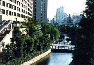 外堀であった場所に美しく整備された河川の中流域らしき風景