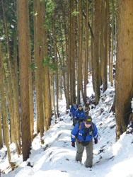写真：2月、雪化粧された森を行く