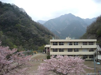 活動紹介