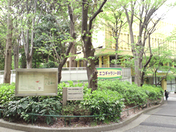 活動紹介