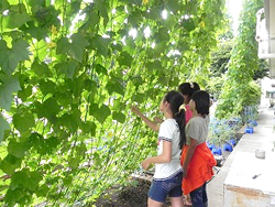 写真：どんな作業も喜んで手伝ってくれる女の子たち