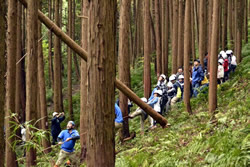 写真：1期生による間伐体験（平成23年度）。