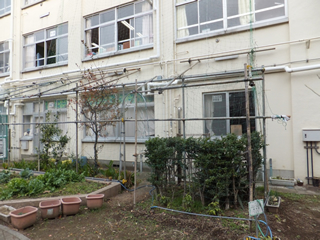 鉄パイプで組んだネットの支柱