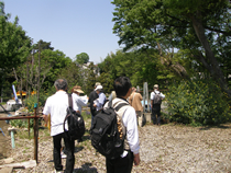 緑のマップ作成当日の様子。左と中央は大門（2012年5月）、右は稲荷台（2012年9月）