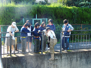 東久留米総合高校の生徒たちも川におりてゴミを拾う