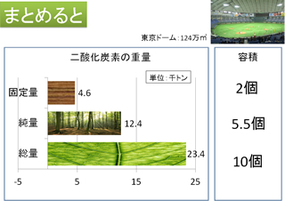 小林良邦さんによる「区内に生息する植物のCO2吸収量のマクロ的試算」の試算結果