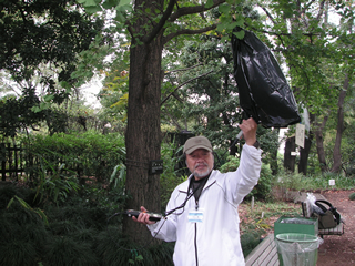 植物園でのCO2吸収量計測実験の様子