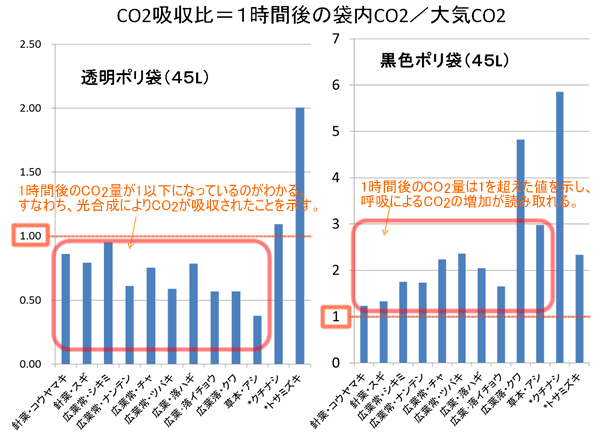 実験結果のグラフ（透明ポリ袋と黒色ポリ袋の比較）