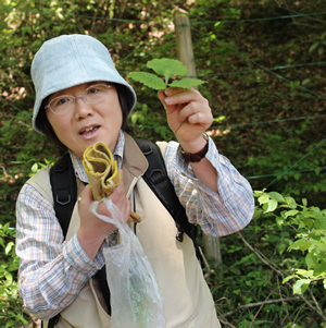 食べられる草の説明をする、ゆかりさん。話を聞いた子どもたちは、さっそく折って、匂いをかいで、ビニール袋に採り貯めていく。ちぎった葉っぱからは、清々しいヨモギの香りや、慣れ親しんだミツバの香りがする。「ほんとにミツバだ！」、そんな声も聞こえる。