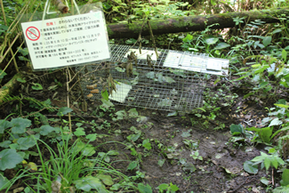 活動紹介