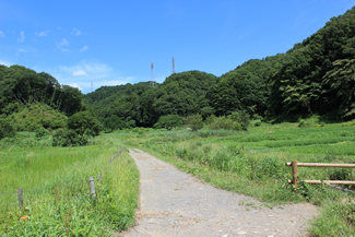 横沢入里山保全地域。右は、現地に掲げられている絵地図。