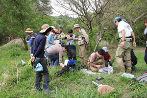 田んぼや湿地帯で実施している水辺の生き物調査
