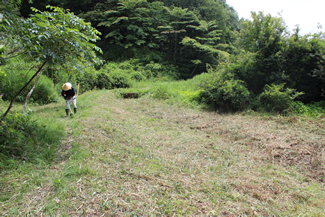 7月の共同作業日には、ヨシの刈り払いをして、水路の水面を露出させた。上は作業前、下がほぼ作業終了時の様子。