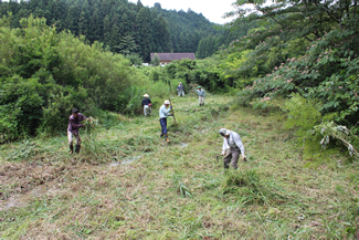 7月の共同作業日には、ヨシの刈り払いをして、水路の水面を露出させた。上は作業前、下がほぼ作業終了時の様子。