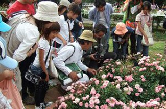 2007年5月に代々木公園で実施したハニーウォーク（NPOみつばち百花提供）