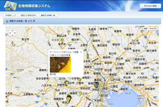 「ミツバチ来てたよ、大調査」の閲覧画面