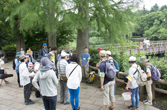 池の畔で観察会。。