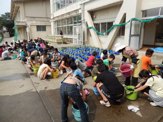6月4日のバケツ稲田植え