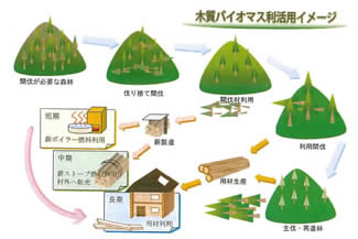 檜原村におけるバイオマス利活用のイメージと流れ