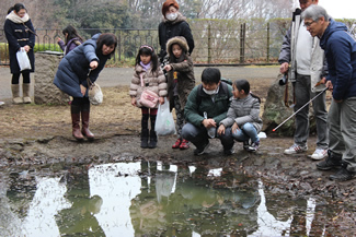 「オタマジャクシの池」と呼ばれる小さな池。
